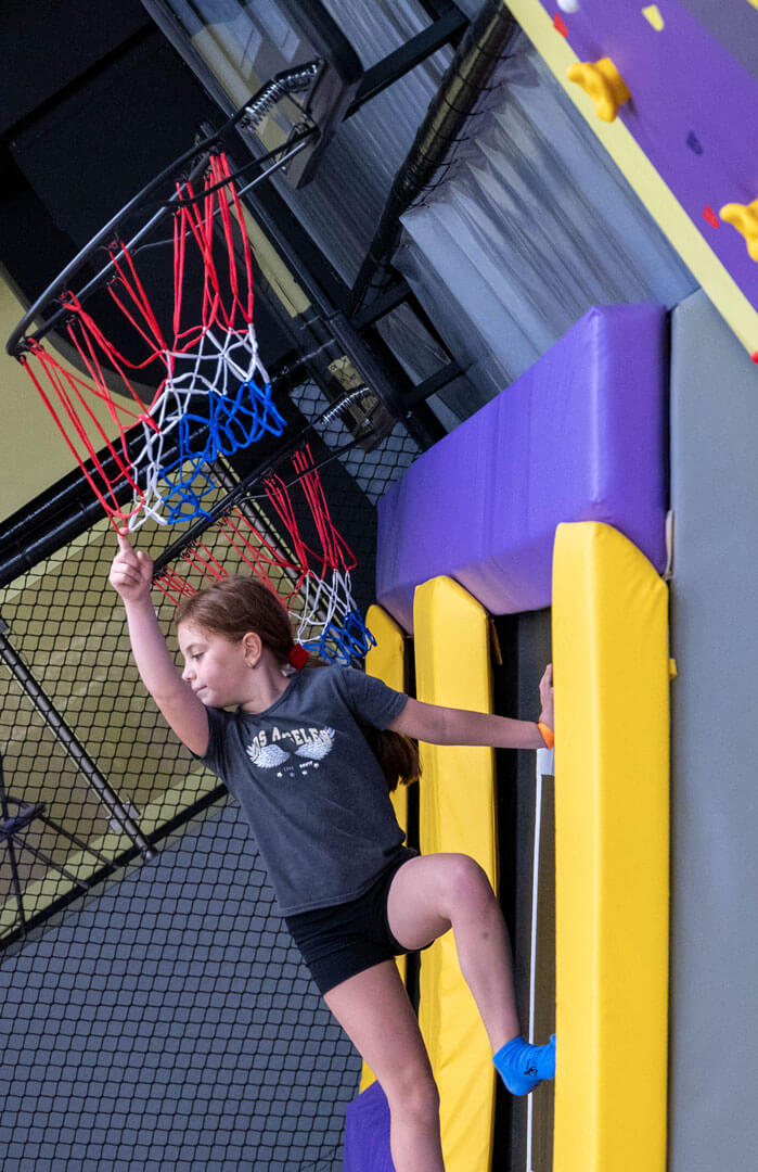 Slam Dunks (Баскетболни кошове) image
